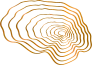 Logo Treeway