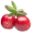 Logo van Cranberry Terschelling B.V.