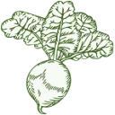 Logo van Stichting De Groentedeler