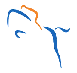Logo EQUUS accountants en belastingadviseurs