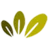 Logo van Green Seed The Netherlands