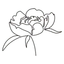 Logo van Interieurstudio NOAH