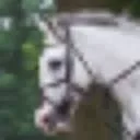 Logo van Renswoude Horse Trials