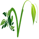 Logo van Veggie4U