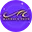 Logo van Stichting Nederlands Symfonie Project