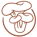 Logo van Fryslân Fungies