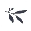 Logo van Edell Fine Jewelry