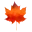 Logo van The Orange Tree Foundation