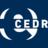 Logo van ICARUS