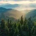 Logo van Roots of Light - Coaching AND Retreats