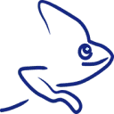Logo Kameleon-loopbegeleiding