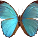 Logo van Envirom Green
