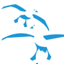 Logo van Stichting Les Oiseaux Bleus