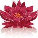 Logo van Praktijk Jei voor Psychosociale Therapie Coaching AND Training