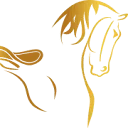 Logo van Ihesta Saddles B.V.