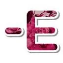 Logo van SUZANN-E