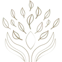 Logo VAibe