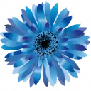 Logo van Uw Dynamics Partner