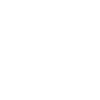 Logo van Protium.digital
