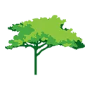Logo ElderCare