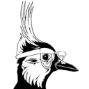Logo van Kievit Optiek