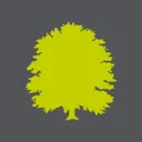 Logo The Lime Tree - Mediation AND Training