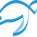 Logo van Blue Turtle Tax