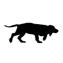 Logo van Black Dog Rare Books