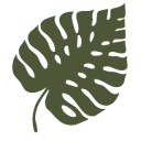 Logo Epionea