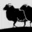 Logo van Noordwijktrial