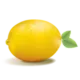 Logo van Dutch Designs with lemon