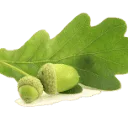 Logo Snijder Vloeren B.V.
