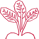 Logo van Beetz BV