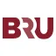 Logo BRUWISE Groep