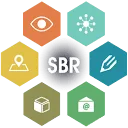 Logo van Accept SBR Online