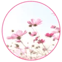Logo van Praktijk HSP