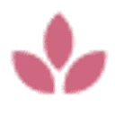 Logo Baushe
