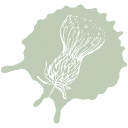 Logo van Carduus Tuinen