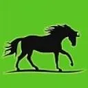 Logo van FIT PAARD
