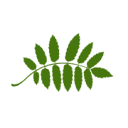 Logo van Andrea de Jong Tekst AND Fotografie