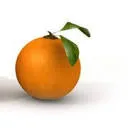 Logo van S-Sent Leven in essentie