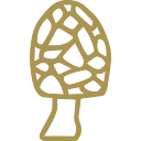 Logo van Restaurant Morille