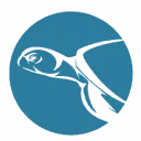 Logo Sea Turtle Conservation Curaçao STCC