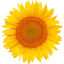 Logo van Installatiebedrijf Tijhaar Vilsteren B.V.