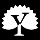 Logo van Your Floor®