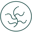 Logo van HoutMoed