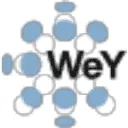 Logo van WeY Strategie Realisatie