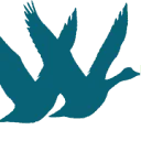 Logo Drowgoo