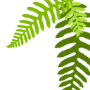 Logo van Orangutan Rescue