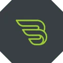 Logo van Baer Panels